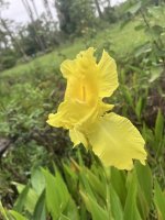 IMG_5012.jpeg