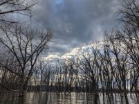 heronry.jpg