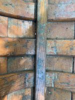 IMG_9583.jpeg