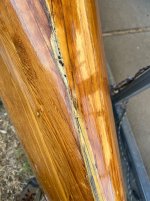 IMG_1675.jpeg