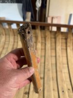 IMG_0841.jpeg