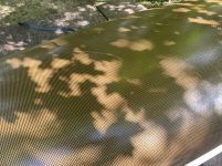 IMG_9480.jpeg IMG_9480.jpeg
