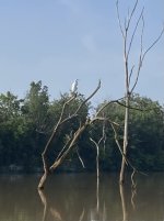 IMG_7079.jpeg
