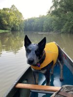 IMG_7072.jpeg
