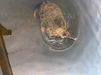 IMG_6847.jpeg