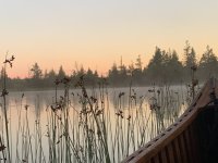 IMG_9727.jpeg