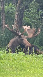 IMG_2840.jpeg