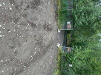 IMG_4549.jpeg