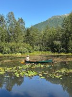 Al stern paddling.jpeg