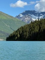 IMG_2991.jpeg