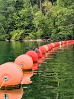 Birds on dam buoys Candlewood.jpg Birds on dam buoys Candlewood.jpg