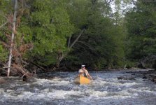 rapids.jpg