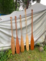 IMG_7753.jpeg