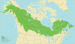 boreal.png
