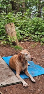 IMG_0407.jpeg IMG_0407.jpeg