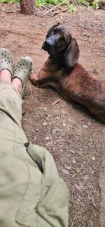 IMG_0412.jpeg IMG_0412.jpeg