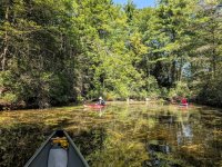 Winchester Lake vegetated cove.jpg
