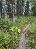 IMG_3224.jpeg