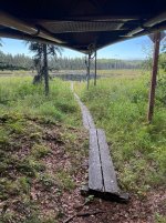 IMG_3219.jpeg