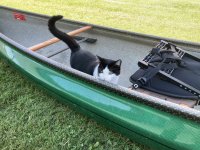 IMG_7511.jpeg