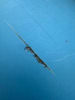 IMG_3897.jpeg