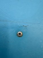 IMG_3894.jpeg