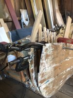 IMG_2386.jpeg