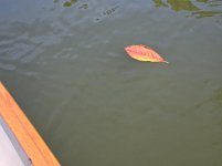 20250818_153907.jpg