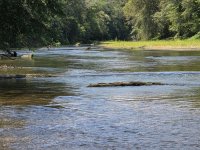 Bogue Chitto Flow.jpg
