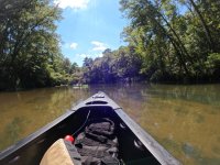 Bogue Chitto 3.JPG
