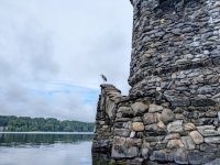 Heron on Alvord's Tower.jpg Heron on Alvord's Tower.jpg