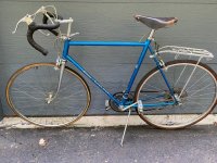 Super Sport.jpg