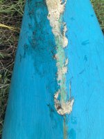 IMG_5746.jpeg