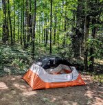 REI Halfdome 3P at Shir-Roy CG, NH.jpg
