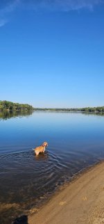 IMG_0420.jpeg