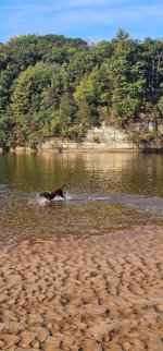 IMG_0423.jpeg