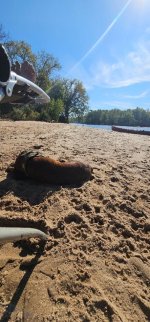 IMG_0422.jpeg