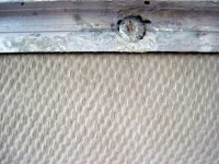 Gunnel Rivet (2).jpg Gunnel Rivet (2).jpg