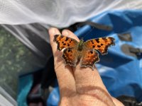 IMG_5286.jpeg