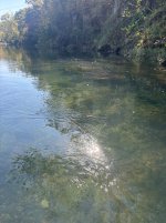IMG_2539.jpeg IMG_2539.jpeg