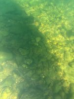 IMG_2531.jpeg IMG_2531.jpeg