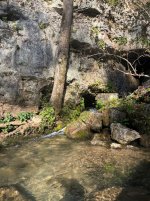 IMG_2599.jpeg