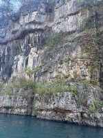 IMG_2610.jpeg