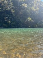 IMG_2629.jpeg