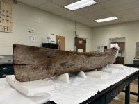 ancient canoe.jpg