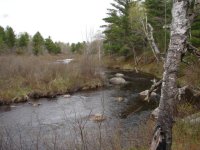 river at 1sr camp-pr2_Original.jpeg river at 1sr camp-pr2_Original.jpeg