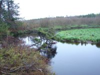 out front 2nd campsite-pleasent river_Original.jpeg out front 2nd campsite-pleasent river_Original.jpeg