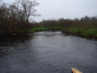 brook trout habitat pr2_Original.jpeg brook trout habitat pr2_Original.jpeg