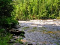 fallstakeout_zpsfac5f781_Original.jpeg fallstakeout_zpsfac5f781_Original.jpeg