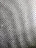 20251004_084133.jpg